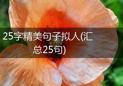 25字精美句子拟人(汇总25句)