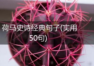 荷马史诗经典句子(实用50句)