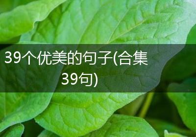 39个优美的句子(合集39句)