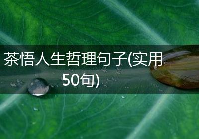茶悟人生哲理句子(实用50句)