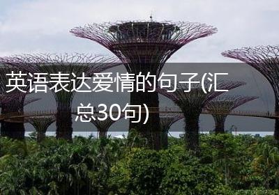 英语表达爱情的句子(汇总30句)