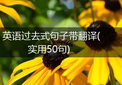 英语过去式句子带翻译(实用50句)