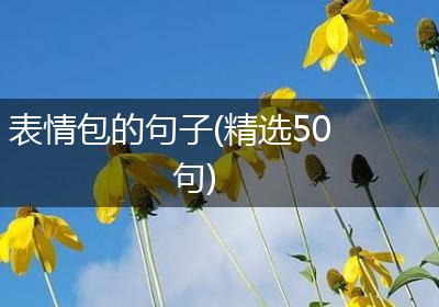 表情包的句子(精选50句)