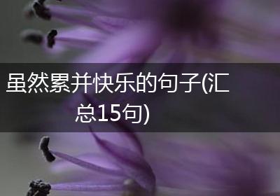 虽然累并快乐的句子(汇总15句)