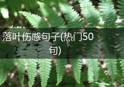 落叶伤感句子(热门50句)