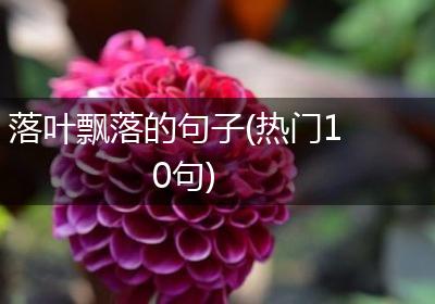 落叶飘落的句子(热门10句)