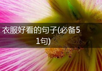 衣服好看的句子(必备51句)