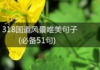 318国道风景唯美句子(必备51句)