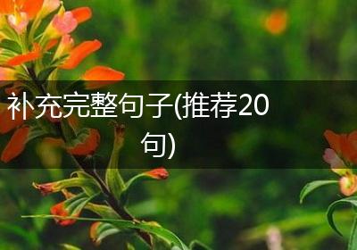 补充完整句子(推荐20句)