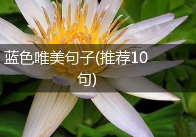 蓝色唯美句子(推荐10句)