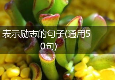 表示励志的句子(通用50句)