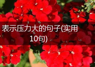 表示压力大的句子(实用10句)