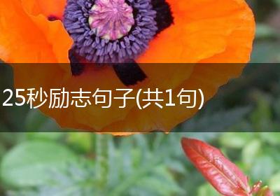 25秒励志句子(共1句)