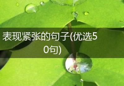 表现紧张的句子(优选50句)