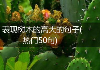 表现树木的高大的句子(热门50句)