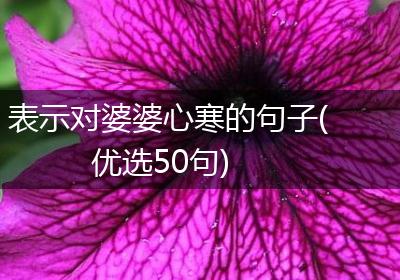 表示对婆婆心寒的句子(优选50句)