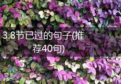 3.8节已过的句子(推荐40句)