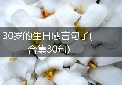 30岁的生日感言句子(合集30句)
