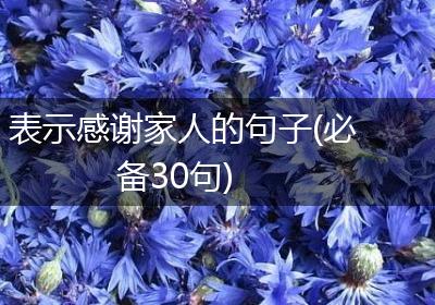 表示感谢家人的句子(必备30句)