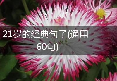 21岁的经典句子(通用60句)