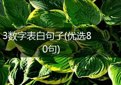 3数字表白句子(优选80句)