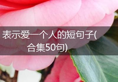 表示爱一个人的短句子(合集50句)