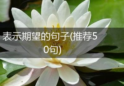 表示期望的句子(推荐50句)
