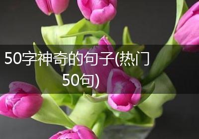 50字神奇的句子(热门50句)