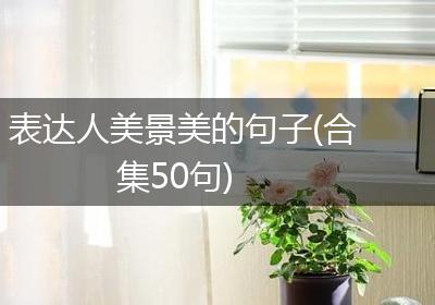 表达人美景美的句子(合集50句)