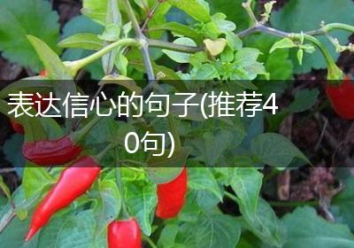 表达信心的句子(推荐40句)