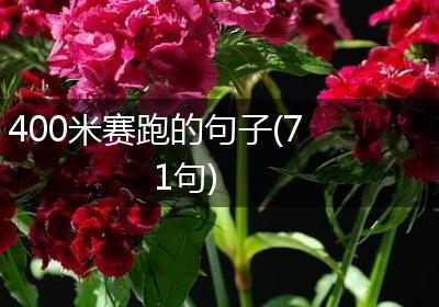 400米赛跑的句子(71句)