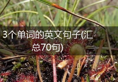 3个单词的英文句子(汇总70句)