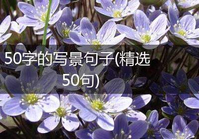 50字的写景句子(精选50句)