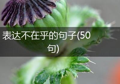 表达不在乎的句子(50句)
