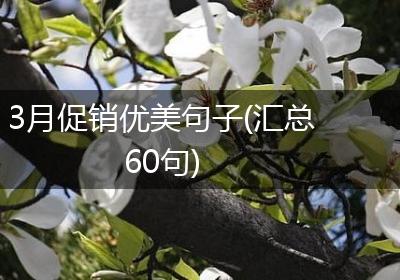3月促销优美句子(汇总60句)
