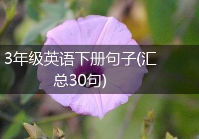 3年级英语下册句子(汇总30句)
