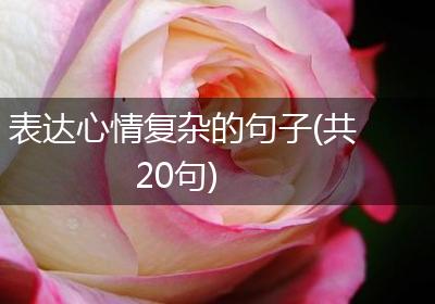 表达心情复杂的句子(共20句)
