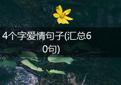 4个字爱情句子(汇总60句)