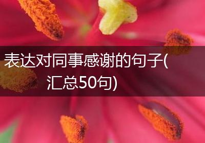 表达对同事感谢的句子(汇总50句)