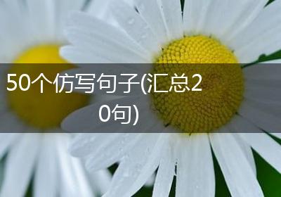 50个仿写句子(汇总20句)