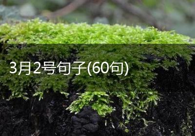3月2号句子(60句)