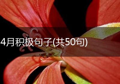4月积极句子(共50句)