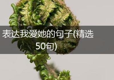 表达我爱她的句子(精选50句)