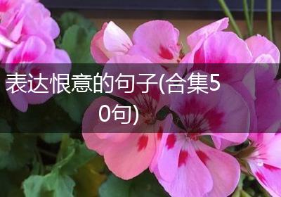 表达恨意的句子(合集50句)