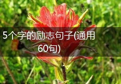 5个字的励志句子(通用60句)