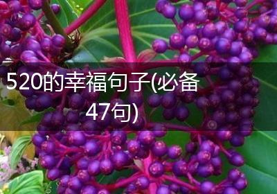 520的幸福句子(必备47句)