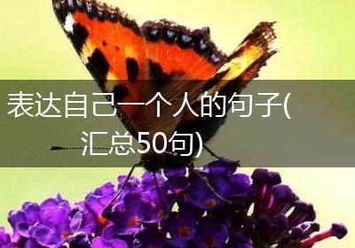 表达自己一个人的句子(汇总50句)