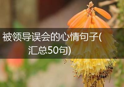 被领导误会的心情句子(汇总50句)