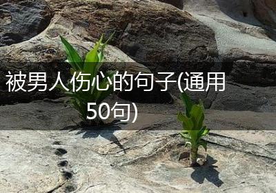 被男人伤心的句子(通用50句)