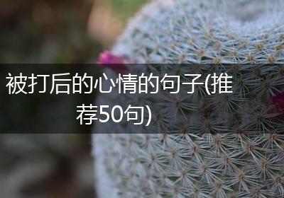 被打后的心情的句子(推荐50句)
